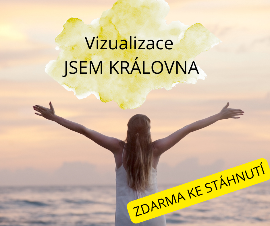 vizualizace jsem královna